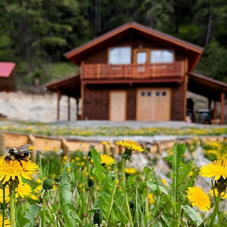 Tschurtschenthaler Rentals Голден Экстерьер фото